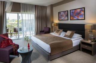 Курортные отели Mirotel Resort and Spa Трускавец Стандартный двухместный номер с 1 кроватью или 2 отдельными кроватями-4